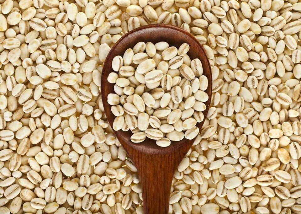 PEARL BARLEY 100G