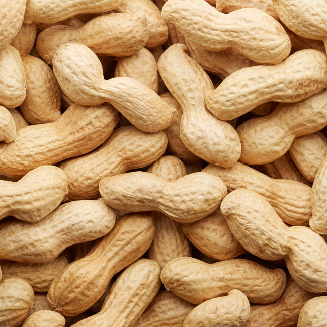 Roasted Peanuts In Shell 900grams